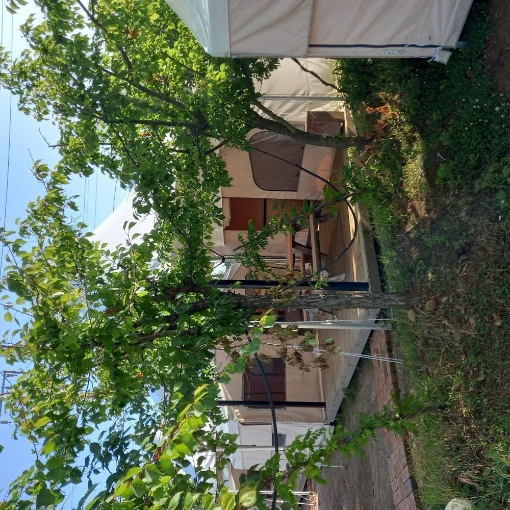 Campsite Inceon Wangsanotokaempingjang Hotel Incheon