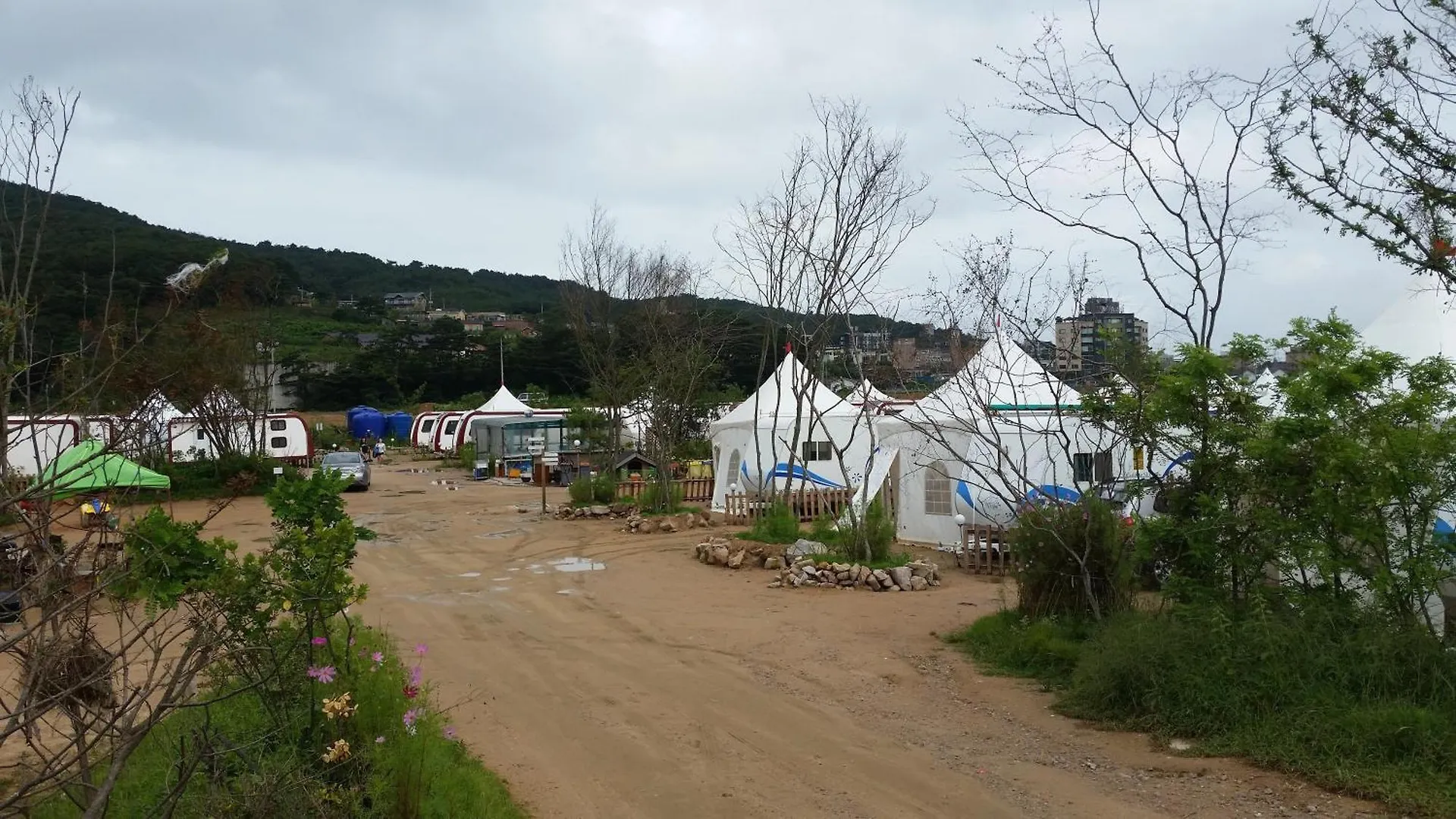 인천 왕산 가족 오토캠핑장 대한민국